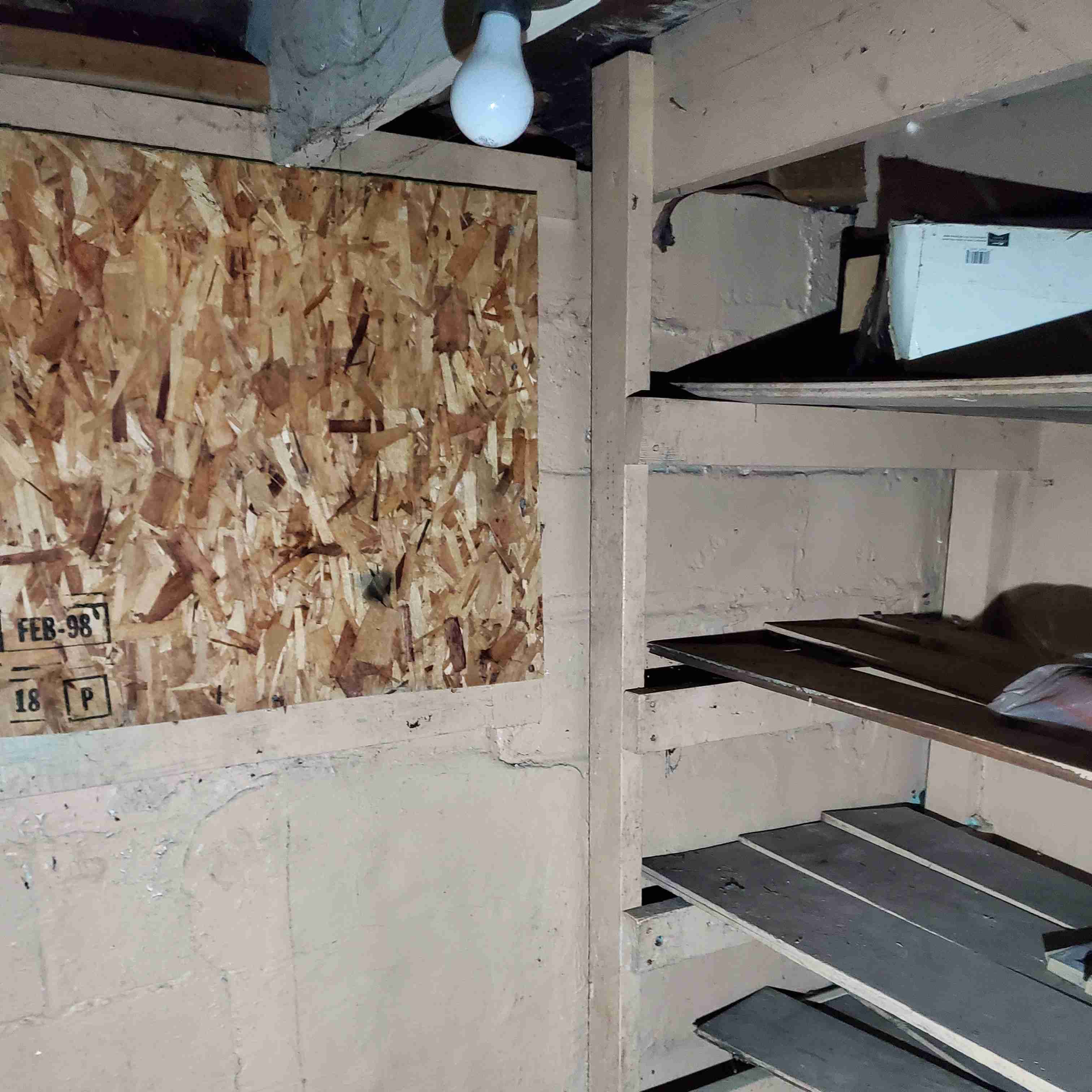 20200812_152431 (2).jpg